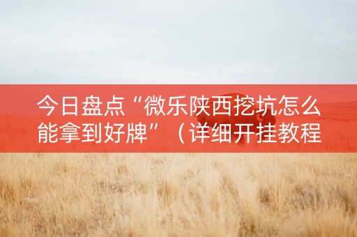 今日盘点“微乐陕西挖坑怎么能拿到好牌”（详细开挂教程）-哔哩哔哩
