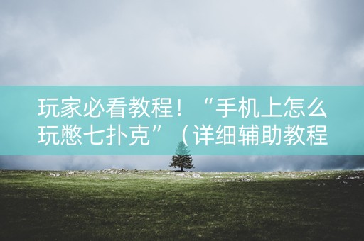 玩家必看教程！“手机上怎么玩憋七扑克”（详细辅助教程）-哔哩哔哩