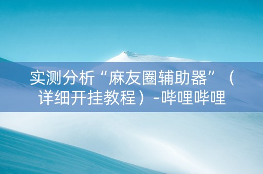 实测分析“麻友圈辅助器”（详细开挂教程）-哔哩哔哩