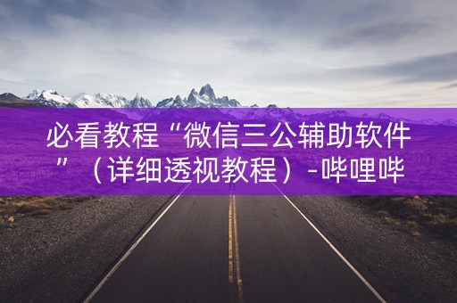 必看教程“微信三公辅助软件”（详细透视教程）-哔哩哔哩