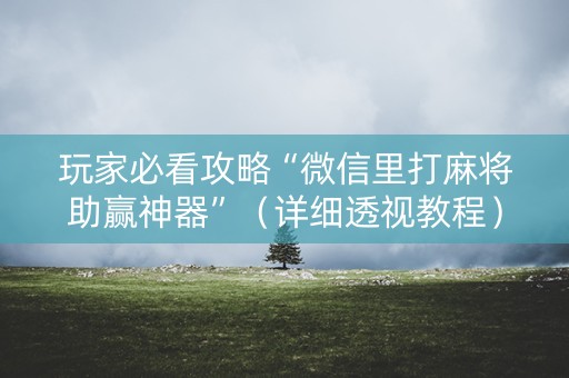 玩家必看攻略“微信里打麻将助赢神器”（详细透视教程）-哔哩哔哩