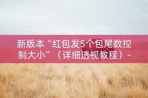 新版本“红包发5个包尾数控制大小”（详细透视教程）-哔哩哔哩