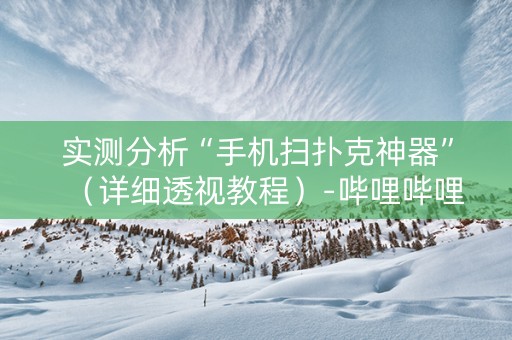 实测分析“手机扫扑克神器”（详细透视教程）-哔哩哔哩