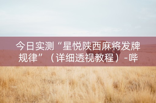 今日实测“星悦陕西麻将发牌规律”（详细透视教程）-哔哩哔哩