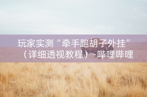 玩家实测“牵手跑胡子外挂”（详细透视教程）-哔哩哔哩