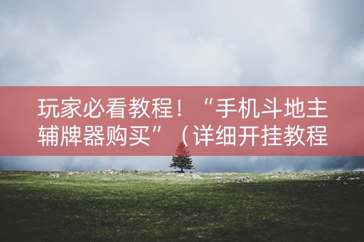 玩家必看教程！“手机斗地主辅牌器购买”（详细开挂教程）-哔哩哔哩