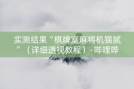 实测结果“棋牌室麻将机猫腻”（详细透视教程）-哔哩哔哩
