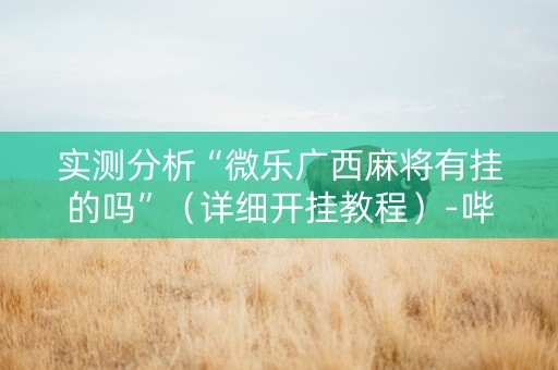 实测分析“微乐广西麻将有挂的吗”（详细开挂教程）-哔哩哔哩
