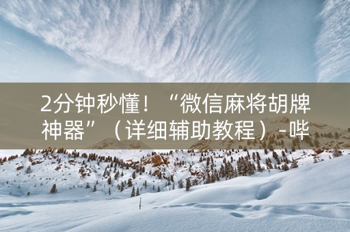 2分钟秒懂！“微信麻将胡牌神器”（详细辅助教程）-哔哩哔哩