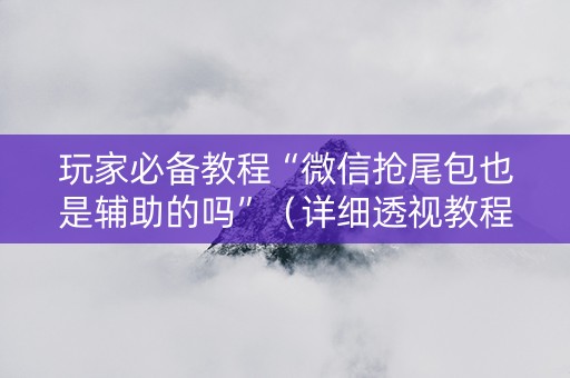 玩家必备教程“微信抢尾包也是辅助的吗”（详细透视教程）-哔哩哔哩