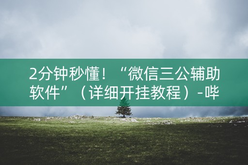 2分钟秒懂！“微信三公辅助软件”（详细开挂教程）-哔哩哔哩