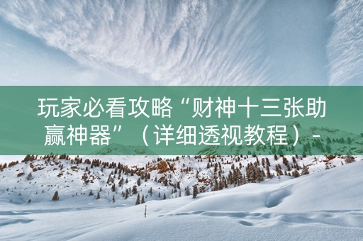 玩家必看攻略“财神十三张助赢神器”（详细透视教程）-哔哩哔哩