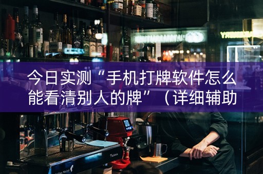 今日实测“手机打牌软件怎么能看清别人的牌”（详细辅助教程）-哔哩哔哩
