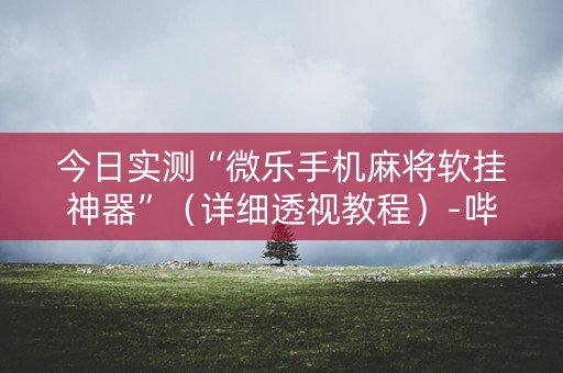 今日实测“微乐手机麻将软挂神器”（详细透视教程）-哔哩哔哩