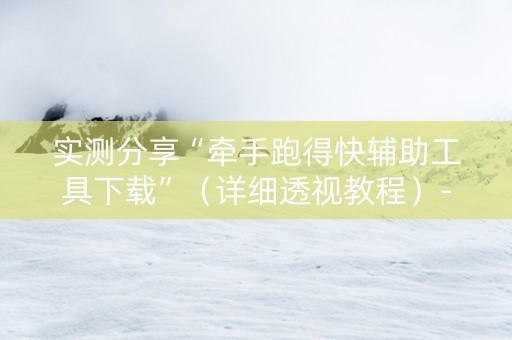 实测分享“牵手跑得快辅助工具下载”（详细透视教程）-哔哩哔哩