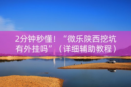 2分钟秒懂！“微乐陕西挖坑有外挂吗”（详细辅助教程）-哔哩哔哩