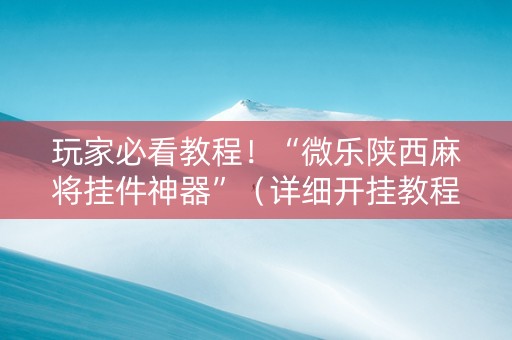 玩家必看教程！“微乐陕西麻将挂件神器”（详细开挂教程）-哔哩哔哩