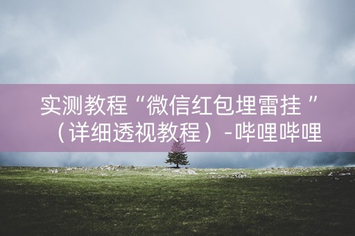 实测教程“微信红包埋雷挂 ”（详细透视教程）-哔哩哔哩