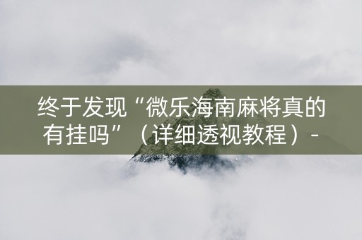 终于发现“微乐海南麻将真的有挂吗”（详细透视教程）-哔哩哔哩