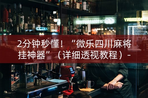 2分钟秒懂！“微乐四川麻将挂神器”（详细透视教程）-哔哩哔哩
