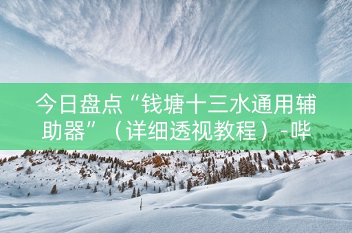 今日盘点“钱塘十三水通用辅助器”（详细透视教程）-哔哩哔哩