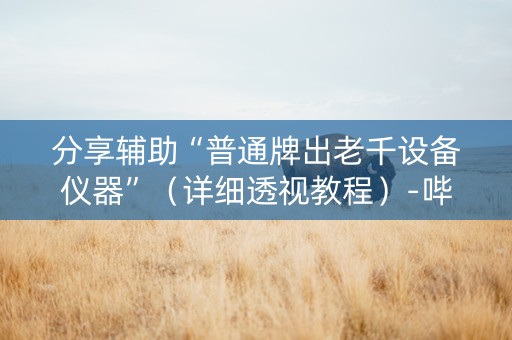 分享辅助“普通牌出老千设备仪器”（详细透视教程）-哔哩哔哩