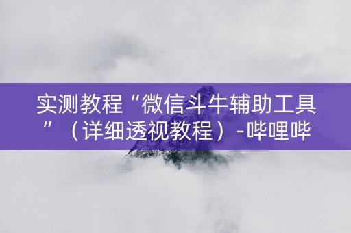 实测教程“微信斗牛辅助工具”（详细透视教程）-哔哩哔哩