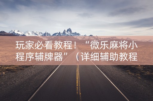 玩家必看教程！“微乐麻将小程序辅牌器”（详细辅助教程）-哔哩哔哩