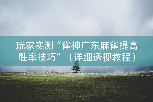 玩家实测“雀神广东麻雀提高胜率技巧”（详细透视教程）-哔哩哔哩