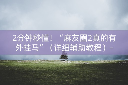 2分钟秒懂！“麻友圈2真的有外挂马”（详细辅助教程）-哔哩哔哩