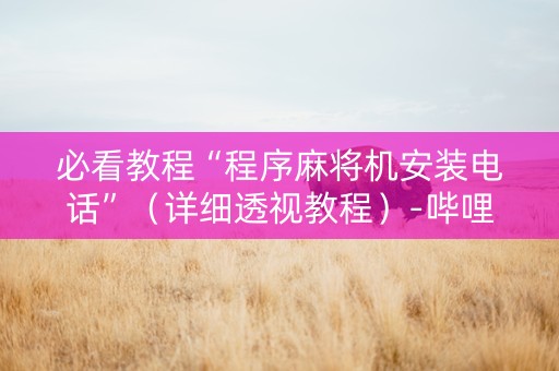 必看教程“程序麻将机安装电话”（详细透视教程）-哔哩哔哩
