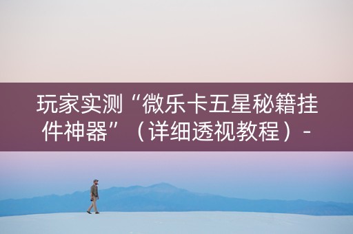 玩家实测“微乐卡五星秘籍挂件神器”（详细透视教程）-哔哩哔哩