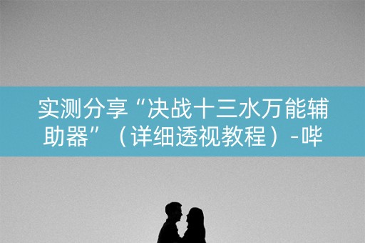 实测分享“决战十三水万能辅助器”（详细透视教程）-哔哩哔哩