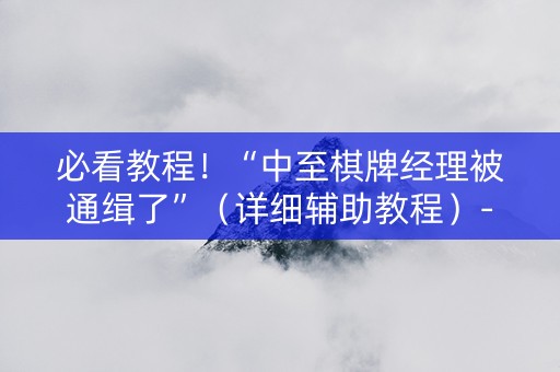 必看教程！“中至棋牌经理被通缉了”（详细辅助教程）-哔哩哔哩