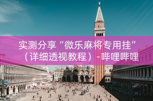 实测分享“微乐麻将专用挂”（详细透视教程）-哔哩哔哩