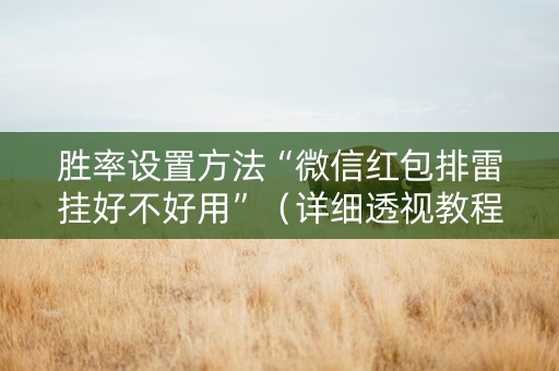 胜率设置方法“微信红包排雷挂好不好用”（详细透视教程）-哔哩哔哩