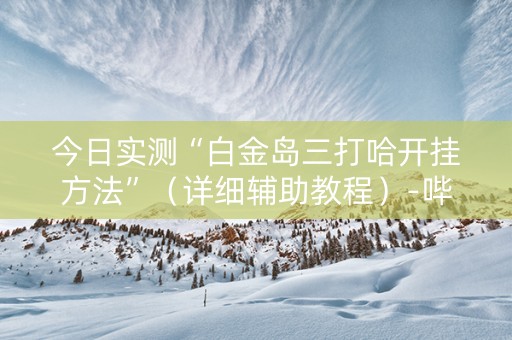今日实测“白金岛三打哈开挂方法”（详细辅助教程）-哔哩哔哩