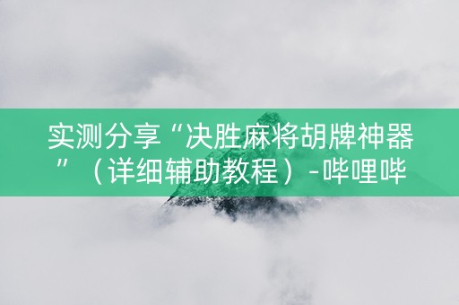 实测分享“决胜麻将胡牌神器”（详细辅助教程）-哔哩哔哩
