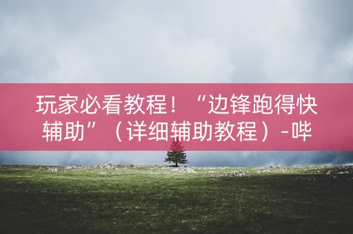 玩家必看教程！“边锋跑得快辅助”（详细辅助教程）-哔哩哔哩