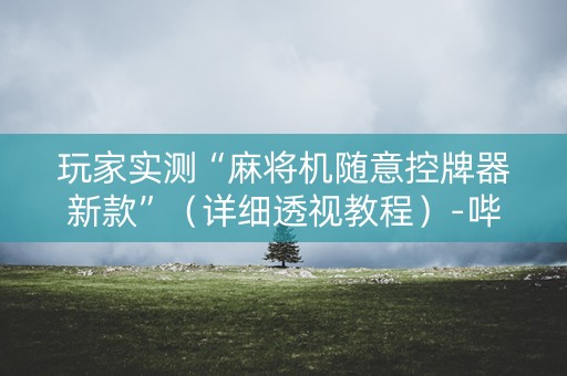玩家实测“麻将机随意控牌器新款”（详细透视教程）-哔哩哔哩