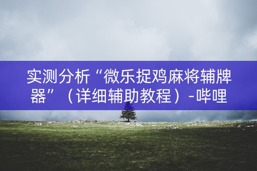实测分析“微乐捉鸡麻将辅牌器”（详细辅助教程）-哔哩哔哩