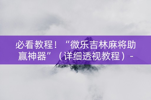 必看教程！“微乐吉林麻将助赢神器”（详细透视教程）-哔哩哔哩