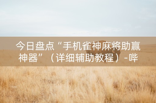 今日盘点“手机雀神麻将助赢神器”（详细辅助教程）-哔哩哔哩