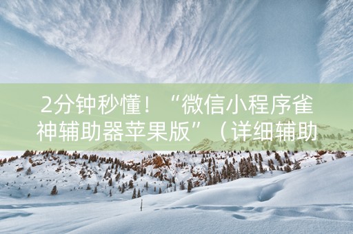 2分钟秒懂！“微信小程序雀神辅助器苹果版”（详细辅助教程）-哔哩哔哩
