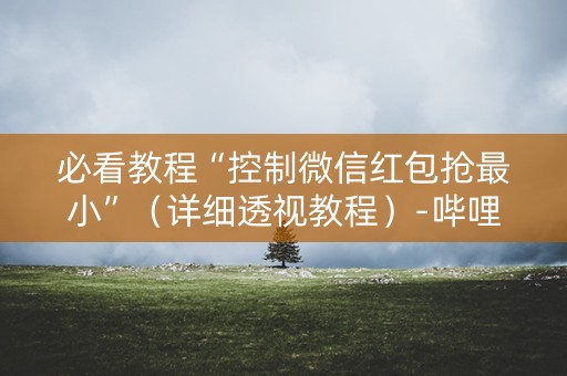 必看教程“控制微信红包抢最小”（详细透视教程）-哔哩哔哩
