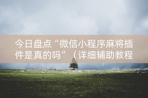 今日盘点“微信小程序麻将插件是真的吗”（详细辅助教程）-哔哩哔哩