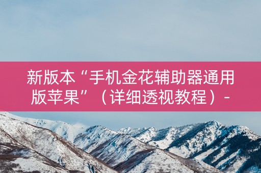 新版本“手机金花辅助器通用版苹果”（详细透视教程）-哔哩哔哩