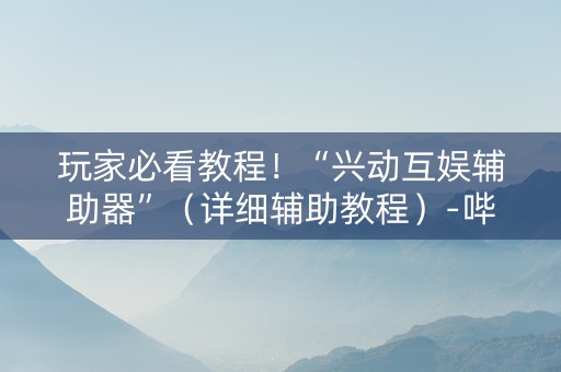 玩家必看教程！“兴动互娱辅助器”（详细辅助教程）-哔哩哔哩