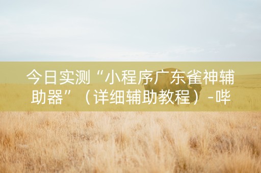 今日实测“小程序广东雀神辅助器”（详细辅助教程）-哔哩哔哩