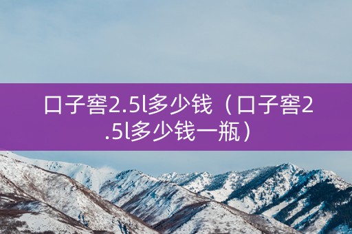 口子窖2.5l多少钱（口子窖2.5l多少钱一瓶）